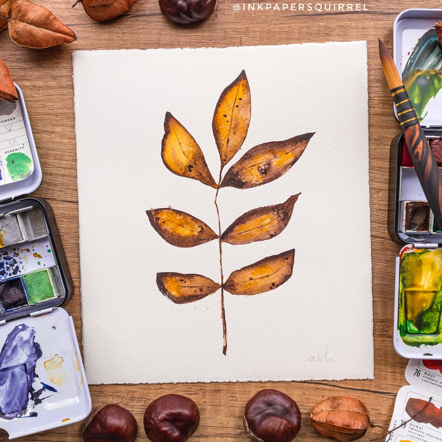 Ash leaf in watercolor