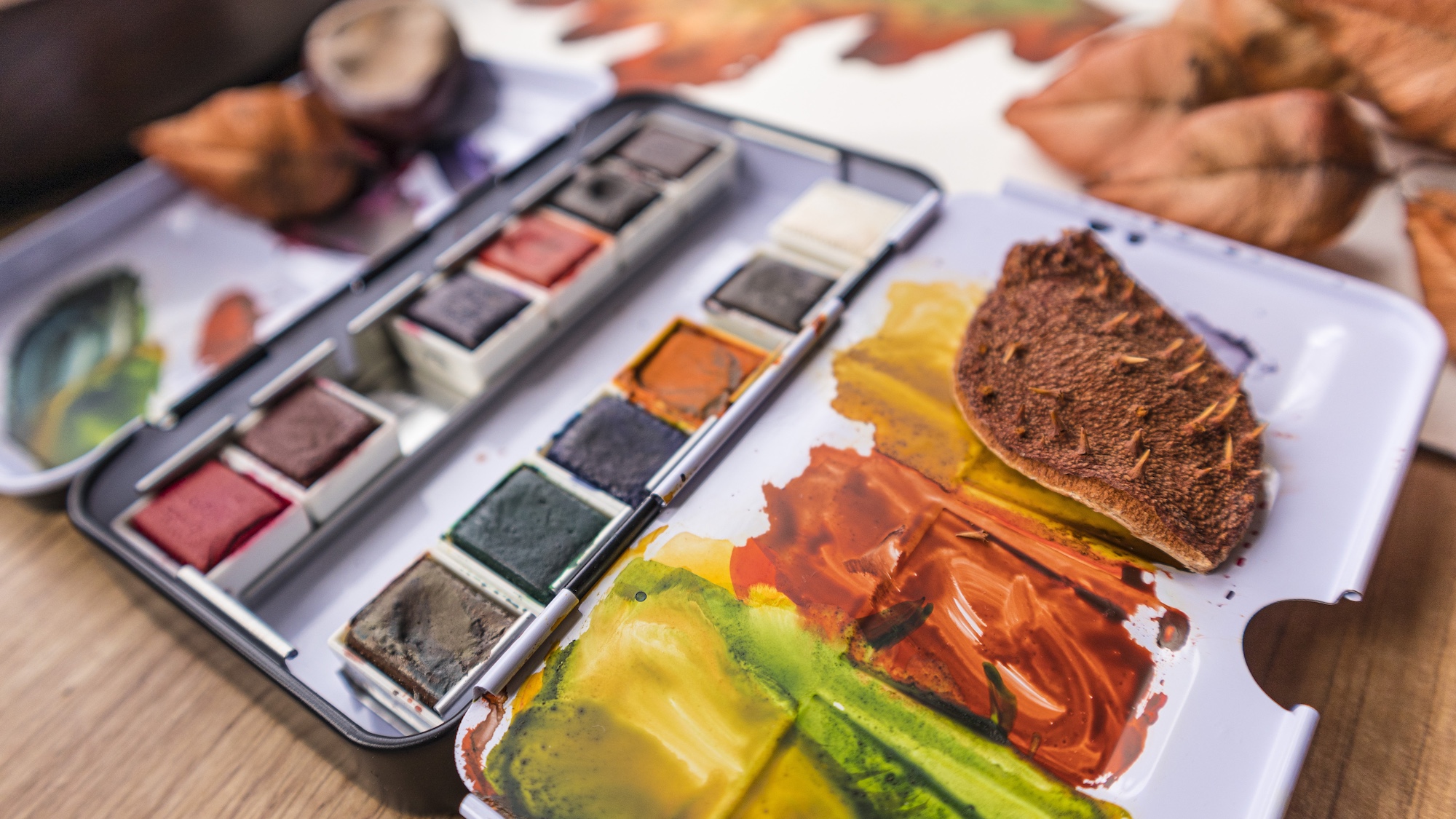 Watercolor Supplies in Autumn Colors