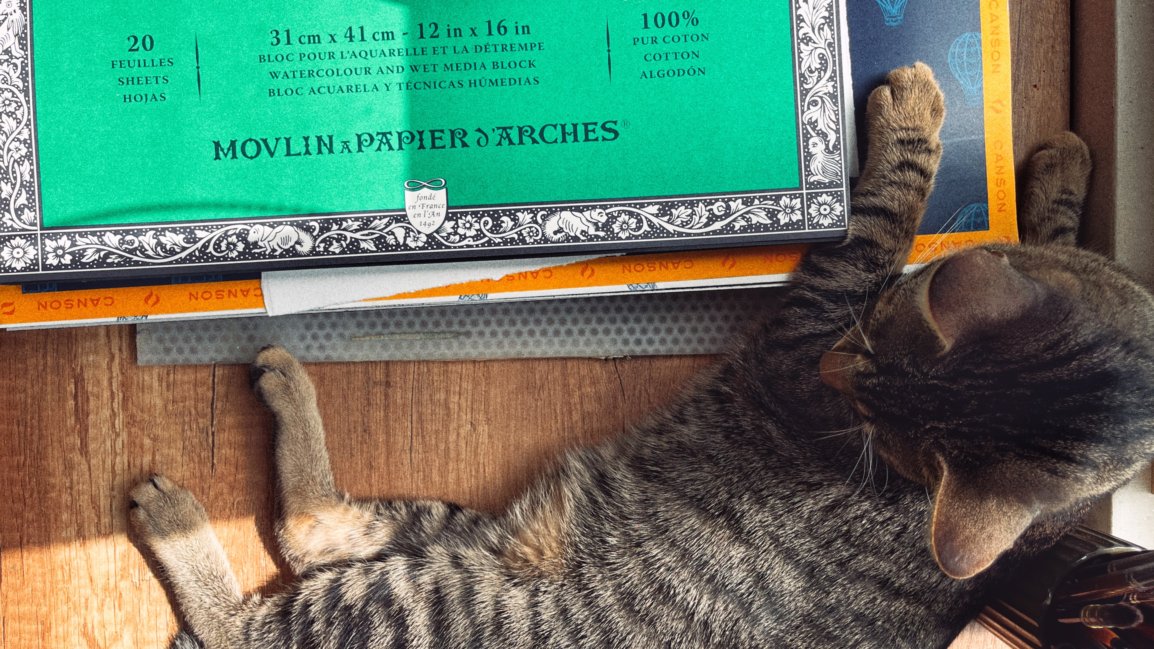 A Stack of Watercolor Blocks and a Kitten with its Paw on the Stack