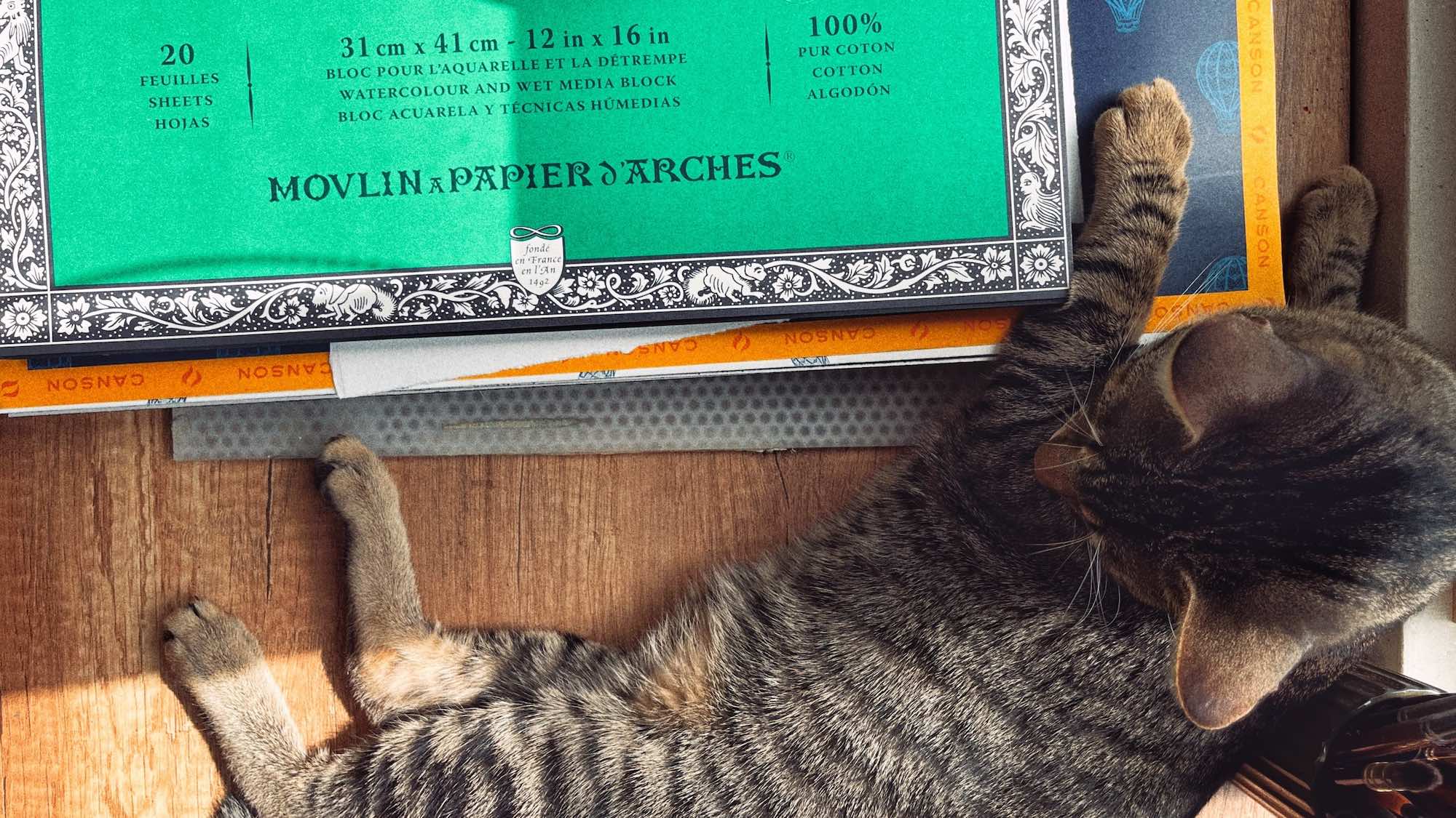 A Stack of Watercolor Blocks and a Kitten with its Paw on the Stack
